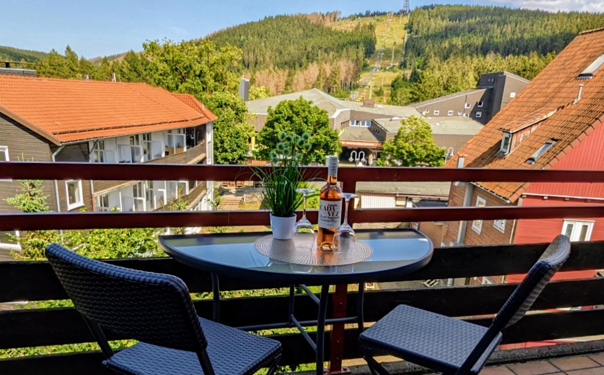 Chill Out Apartment Bergblick Goslar Zewnętrze zdjęcie